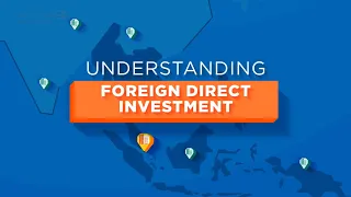 Understanding Foreign Direct Investment