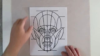 Basics Of The Reilly Method For Drawing Portraits