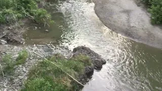 Don River Trail, Toronto - Random Scenes 2