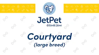 NS: Courtyard - June 2nd, 2024