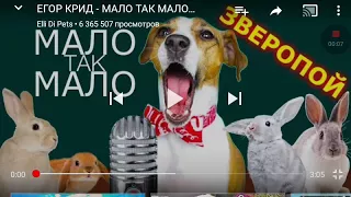 Песня собаки Эли Ди