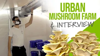 Meet These Urban Mushroom Growers | GroCycle
