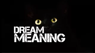 DREAM MEANING CAT ATTACK