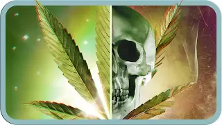 Die Wahrheit über Cannabis