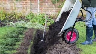 How to Plant a Bare Root Hedge Video Tutorial | Hedges Direct