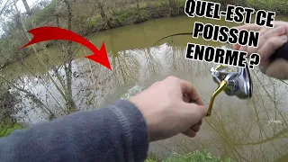 GROSSE SURPRISE dans cette PETITE rivière (1ere Catégorie)