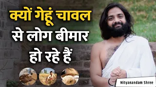 Side Effects of Rice & Wheat | Nityanandam Shree | गेहूं चावल के नुकसान क्यों हैं ज्यादा