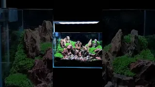 Weekaqua  S series S450 PRO LED aquarium plants light video