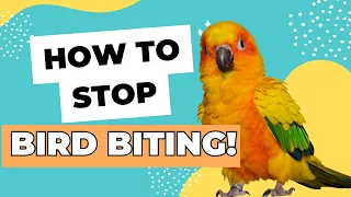 How to stop your bird from biting! | Aggressive bird behavior