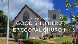 Liturgy of the Word for the Fourth Sunday of Easter — Good Shepherd Sunday — 4/25/2021