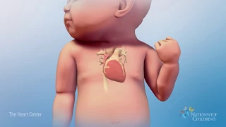 Beating Heart Animation: How a Normal Heart Works