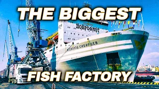 Largest Fish Factory Vessel. Episode 2 | Documentary | Science Channel