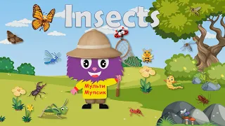 Insects. Комахи англійською мовою. Англійська для дітей.  English for kids. Kids vocabulary