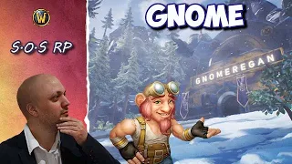 S.O.S RP : Pourquoi et comment jouer Gnomes ?