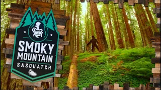 Smoky Mountain Sasquatch:   Where To Find Sasquatch In The Smoky Mountains