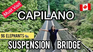 Capilano Suspension Bridge Park 2023 (Vancouver BC) | Vancouver Travel Guide