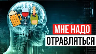 Почему люди отравляются алкоголем? Устройство программы самоотравления.