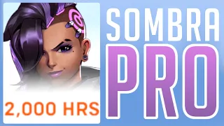 What 2000 hours of Sombra looks like | Fitzy Weekly 101