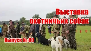 Выставка охотничьих собак | Выпуск №80 (UKR)