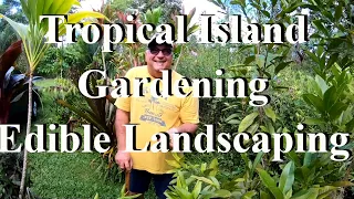 Hawaiian Tropical Gardening, Edible Landscaping Master Class - Native Hawaiian Plants tour.