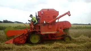 Dronningborg D900 in Wheat 2011