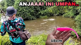 EDAAAANN.. UMPAN SEGEDE INI BISA JUGA PANEN IKAN TOMAN