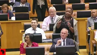 COMEDY In Parliament: DA van Damme vs DD Mabuza