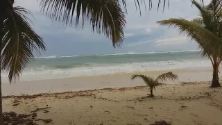 Ураган в Доминикане. Отель Occidental Caribe 4*