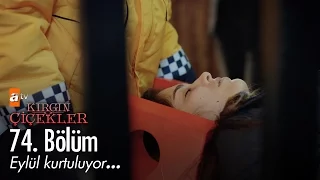 Eylül bulunuyor... - Kırgın Çiçekler 74. Bölüm - atv