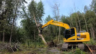 Fastest Way to Clear the Woods (20 Ton Excavator VS Forest)