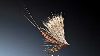 Fly Tying the Detached Deer Hair Body Mayfly dry fly with Barry Ord Clarke
