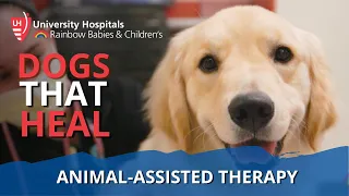 Animal-Assisted Therapy at UH Rainbow Babies & Children’s