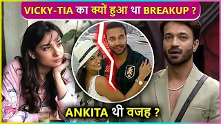 Vicky Jain Was Dating Actress Tia Bajpai Before Meeting Ankita Lokhande, Breakup Reason Revealed
