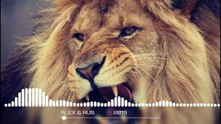 Alex & Rus | New Tiger Sound Trending Video on Tiktok | Tiktok Tiger Meow Music Chinese Hindi new