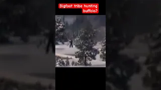 Tribe of Long Legged Bigfoot Travel Through Snow Hunting Buffalo in Yellowstone National Park!