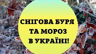 В Україну мчить снігова буря: вдарить мороз -10 і намете замети снігу