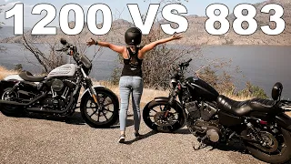 IRON 883 vs IRON 1200 | 2021 Harley Davidson