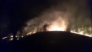 Incendii de vegetatie uscata in Caras-Severin 01,03,2024