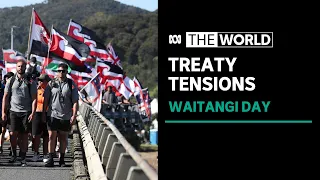 Protests on New Zealand's national day as government looks to review parts of treaty | The World