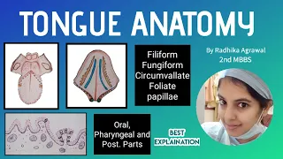 Tongue Anatomy Simplified! External features | Parts of tongue | Pappilae | Medseed MBBS