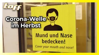 Corona-Herbstwelle! Vier Bundesländer drängen Regierung zum Handeln | taff | ProSieben