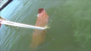 Testing a thrust producing hydrofoil "Thrust Foil" on a boat, move a big boat with no effort.