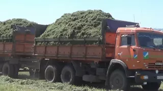 Учебный фильм по проведению основных этапов заготовки сенажа