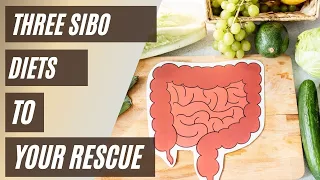 What to eat with SIBO? Three SIBO Diets that can transform your health.