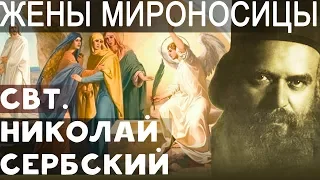 Жены Мироносицы - Николай Сербский (12 мая)