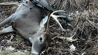 Bow Hunting NY, Big Buck Down Chasing Does