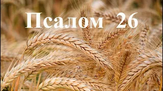 Псалом 26 Господь свет мой. Защита от врагов. Молитва на ночь. Psalm 26