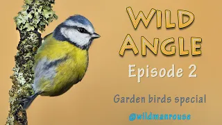 Wild Angle Episode 2 by @wildmanrouse