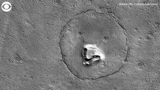 Image of Teddy Bear's Face Appears on Mars