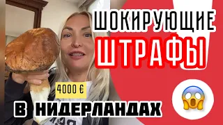 Шокирующие штрафы для наших в Нидерландах😱